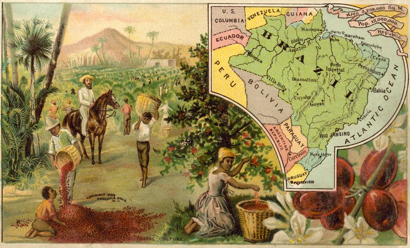 Brazylia autorstwa American School