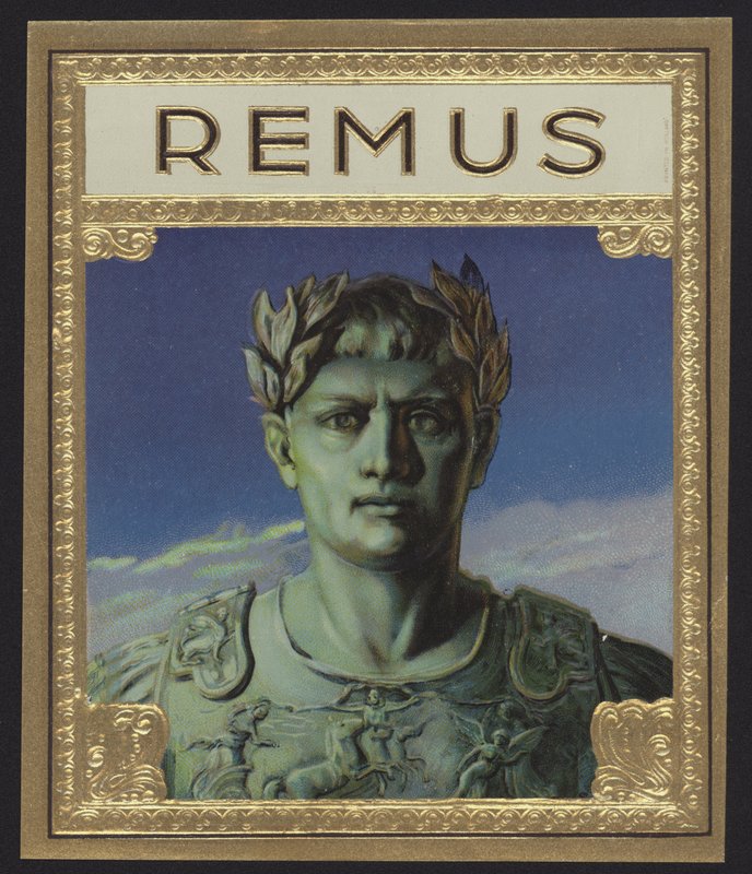 Remus autorstwa American School