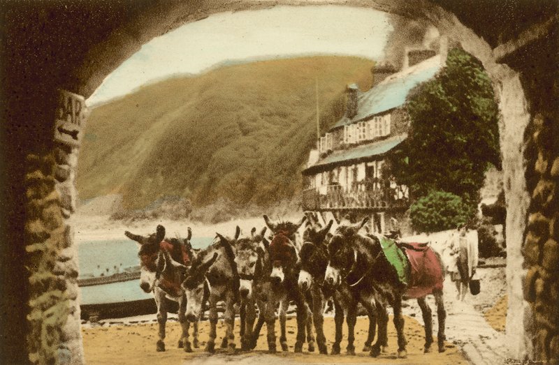 Clovelly, stadnina wyścigowa autorstwa English Photographer