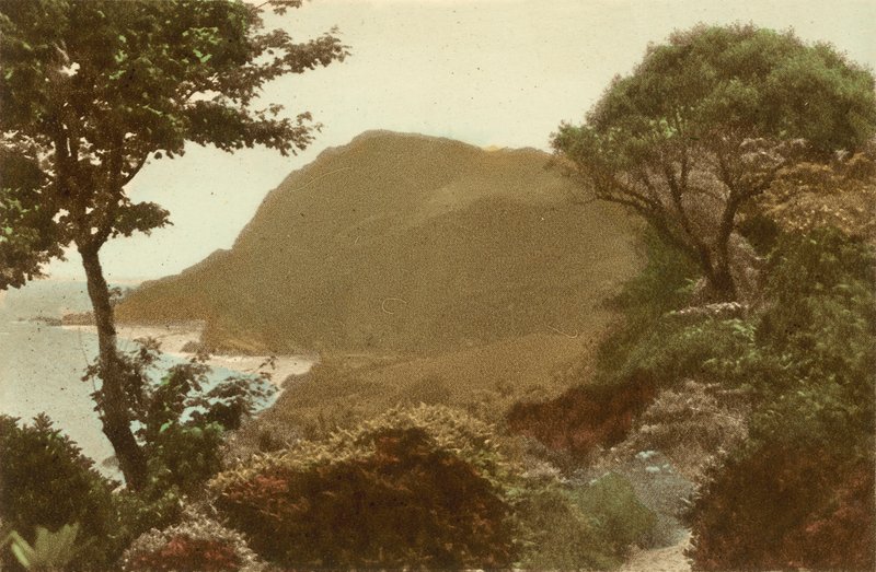 Ilfracombe, Hillsborough z St James Gardens autorstwa English Photographer