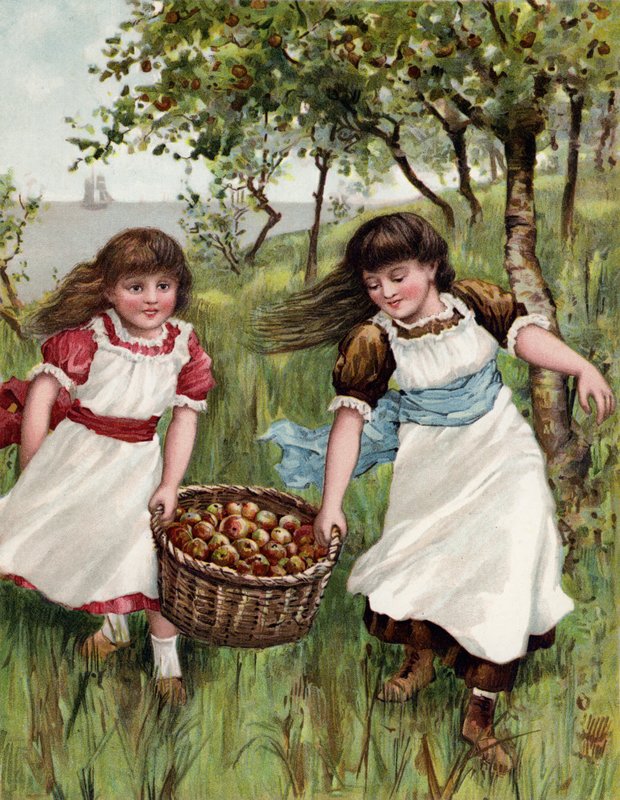 Kosz letnich owoców autorstwa English School