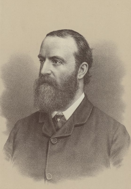 Charles Stewart Parnell , irlandzki nacjonalistyczny przywódca polityczny, agitator reformy rolnej oraz założyciel i lider Irlandzkiej Partii Parlamentarnej autorstwa English School