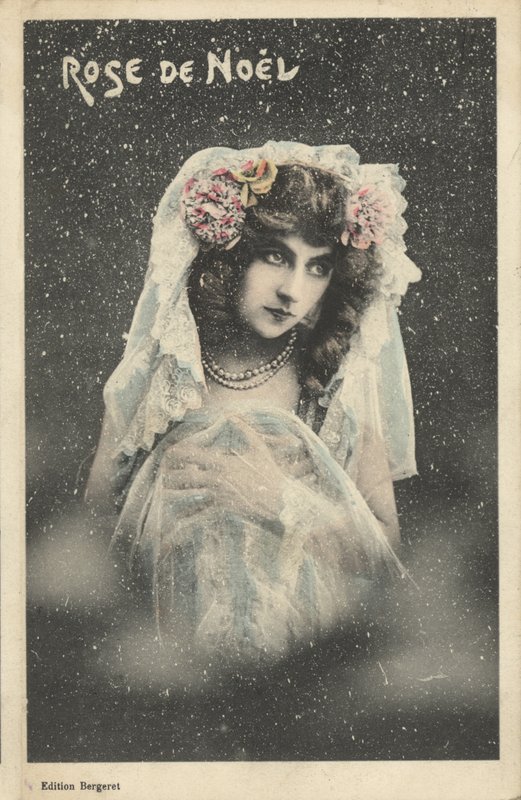 Świąteczna róża autorstwa French Photographer