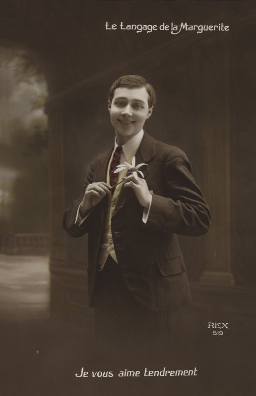 Język stokrotki autorstwa French Photographer