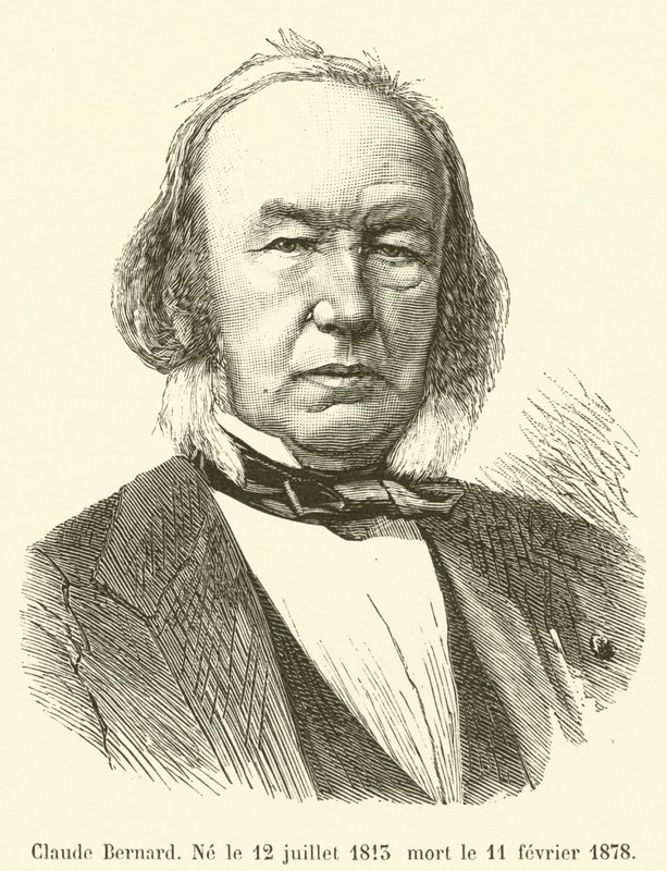 Claude Bernard, urodzony 12 lipca 1813, zmarł 11 lutego 1878 autorstwa French School