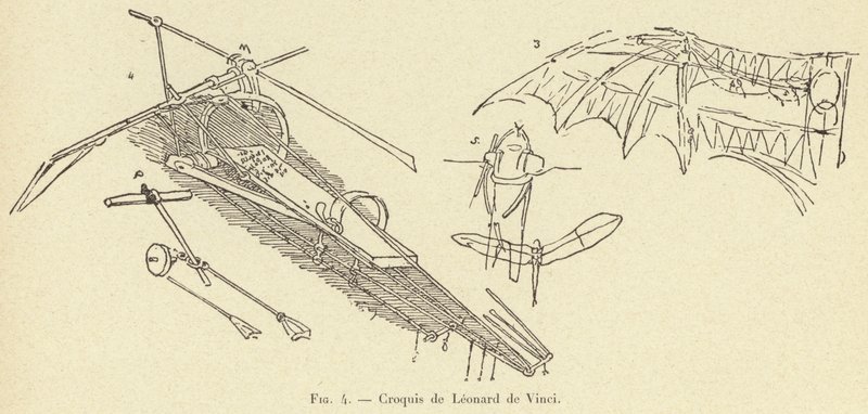 szkic Leonarda da Vinci autorstwa French School