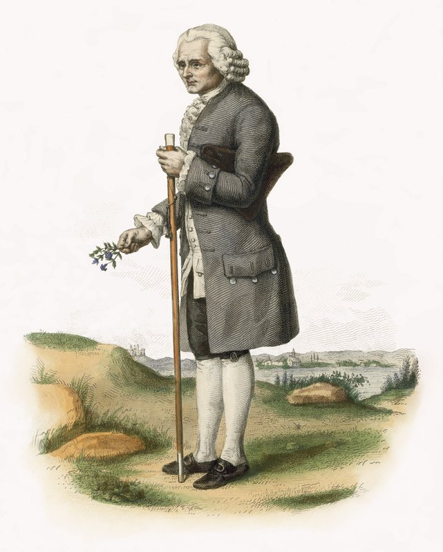 Jean-Jacques Rousseau autorstwa French School