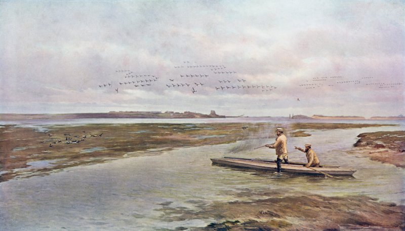 Po strzale w Brent Geese autorstwa A. de Bree