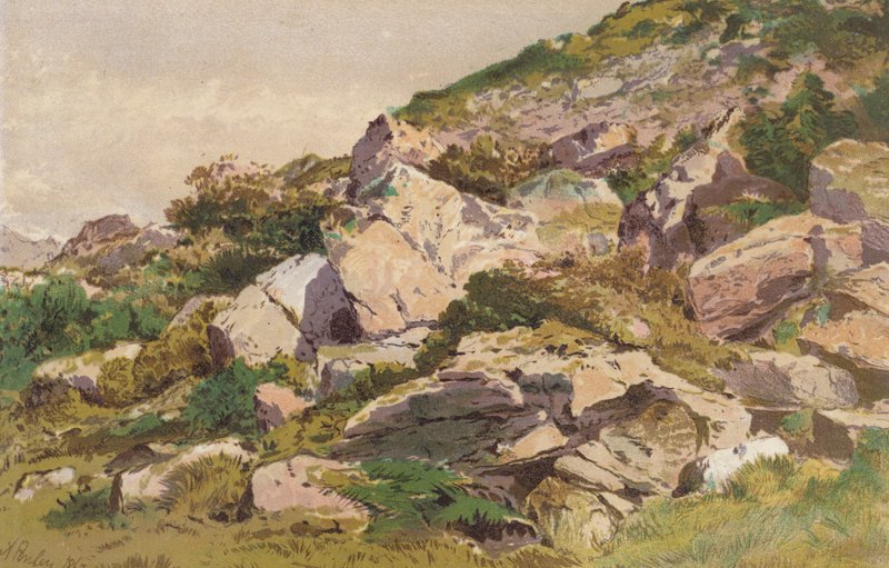 Badanie kamieni na północnej stronie Taliaris, w pobliżu Llandilo, Południowa Walia (chromolit) autorstwa Aaron Edwin Penley