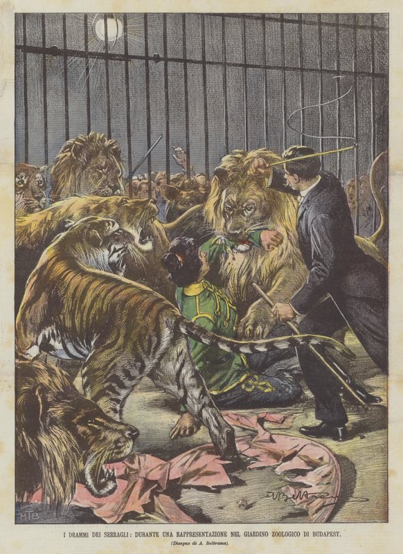 Dramaty menażerii podczas występu w budapeszteńskim zoo autorstwa Achille Beltrame