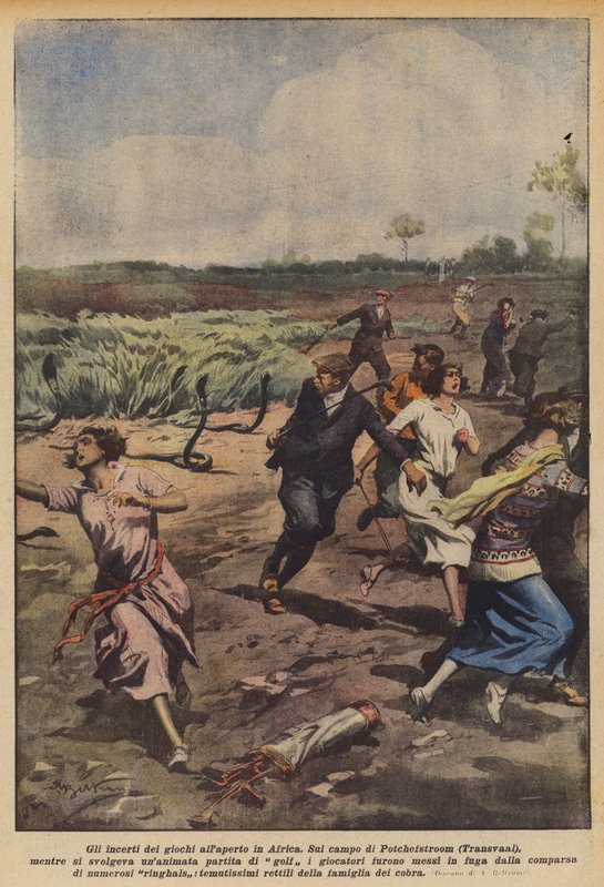 Niepewność gier terenowych w Afryce autorstwa Achille Beltrame