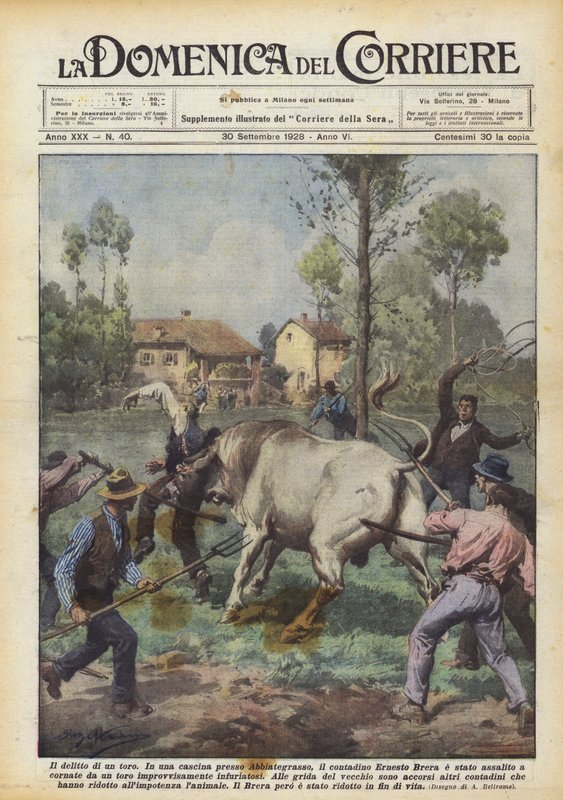 Morderstwo byka autorstwa Achille Beltrame
