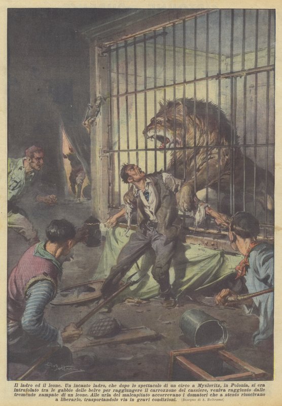 Złodziej i lew autorstwa Achille Beltrame