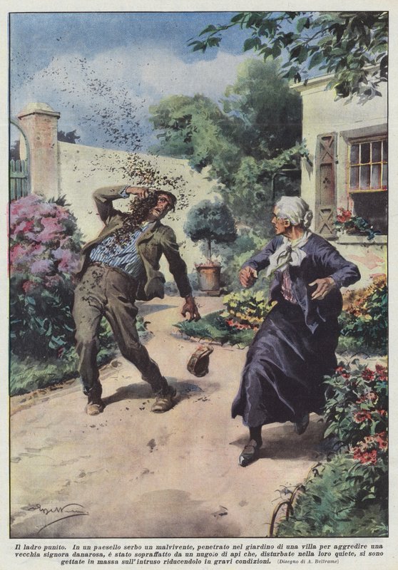 Złodziej ukarany autorstwa Achille Beltrame
