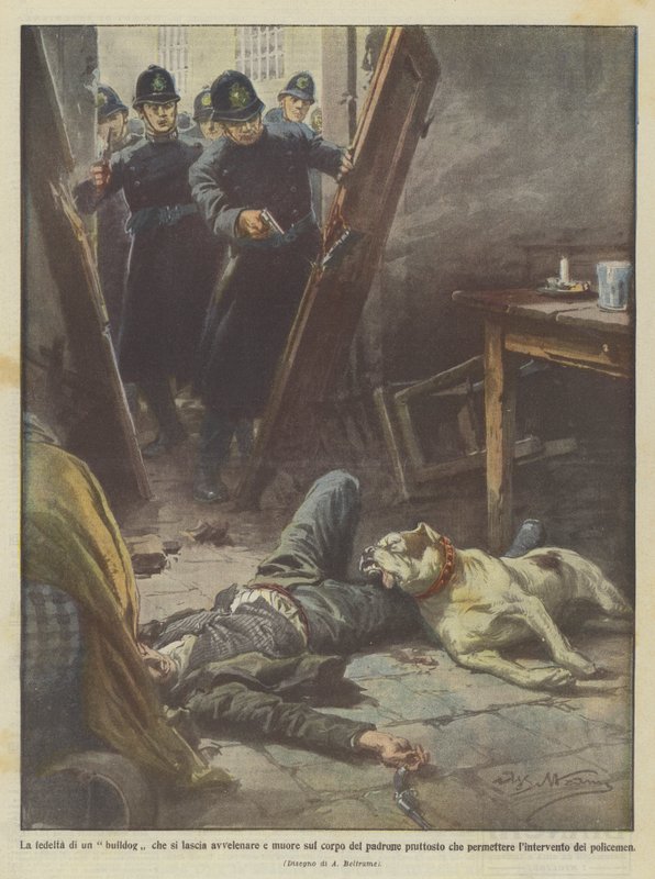 Lojalność buldoga, który pozwala się otruć i umiera na ciele swojego pana, a nie? autorstwa Achille Beltrame