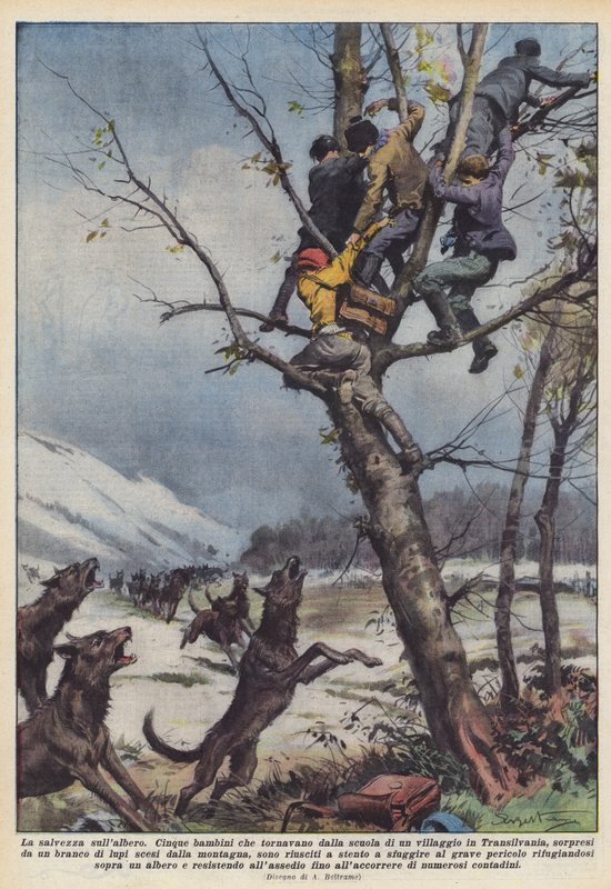 Zbawienie na drzewie autorstwa Achille Beltrame