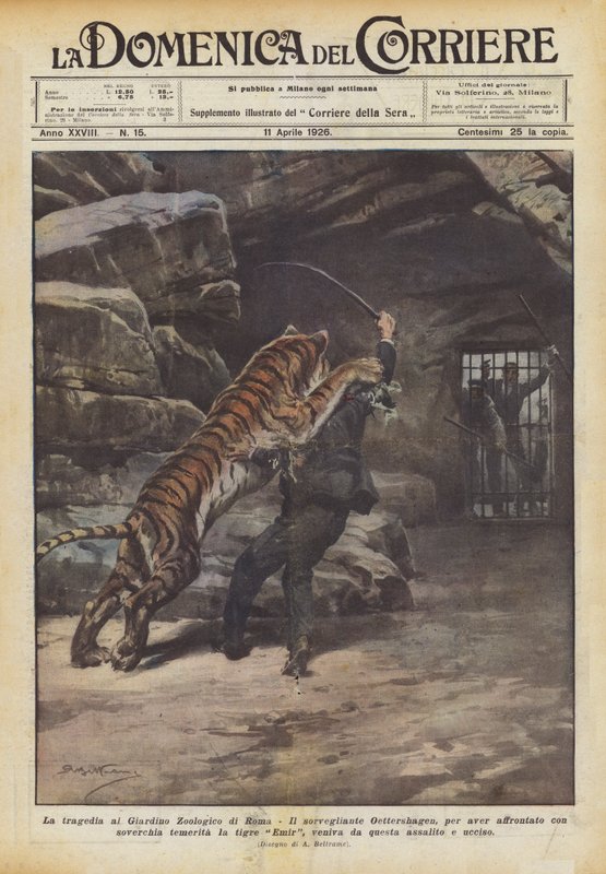 Tragedia w Ogrodzie Zoologicznym w Rzymie autorstwa Achille Beltrame