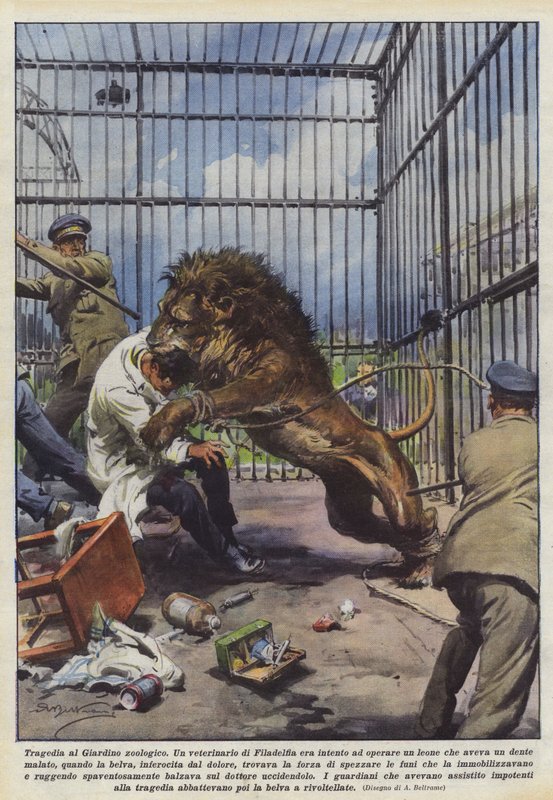 Tragedia w Ogrodzie Zoologicznym autorstwa Achille Beltrame