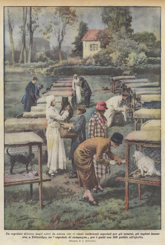 Szpital inny niż wszystkie autorstwa Achille Beltrame