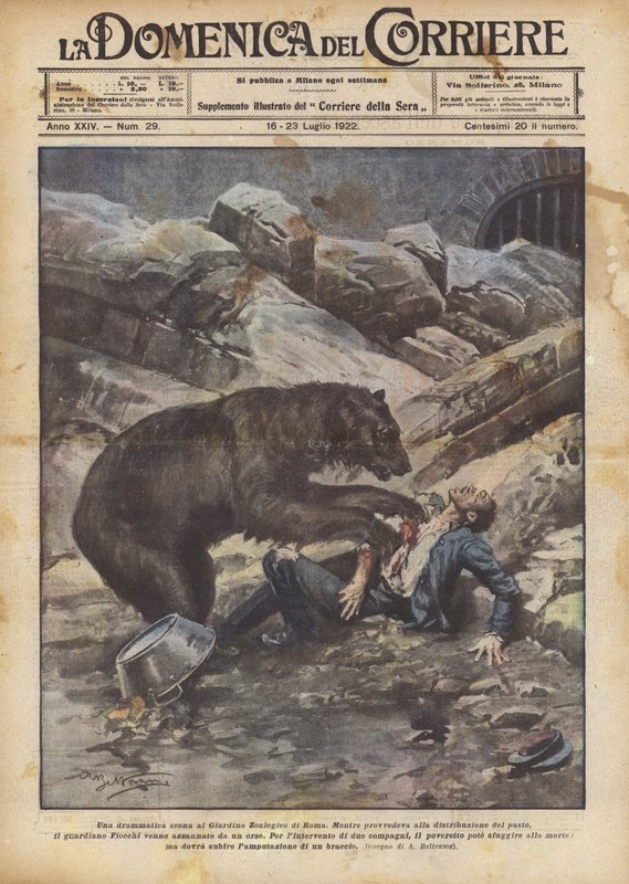 Dramatyczna scena w Ogrodach Zoologicznych w Rzymie autorstwa Achille Beltrame