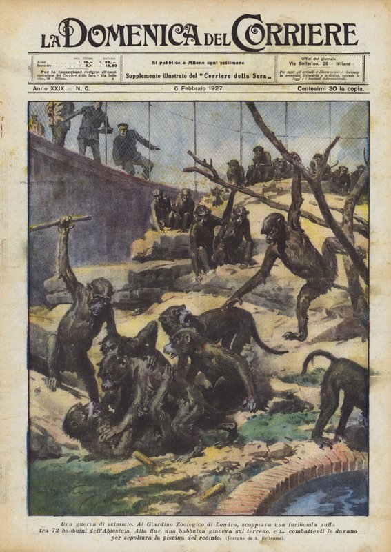 Wojna małp autorstwa Achille Beltrame