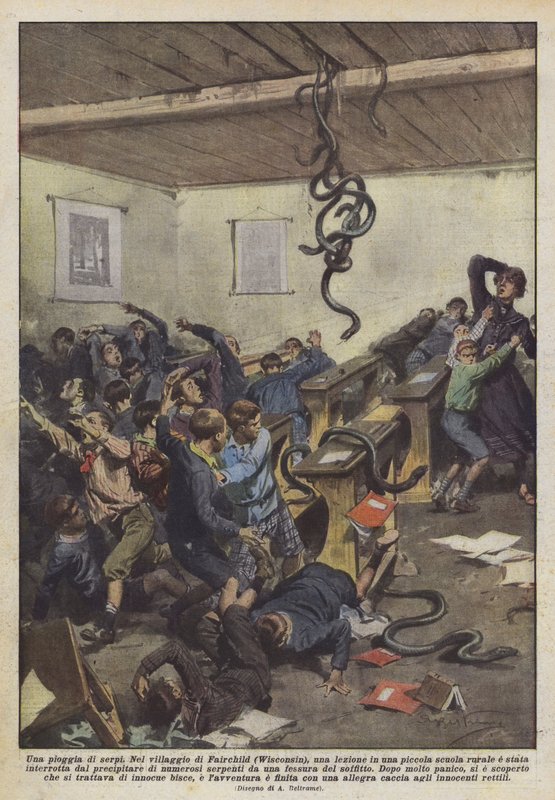 Deszcz węży autorstwa Achille Beltrame
