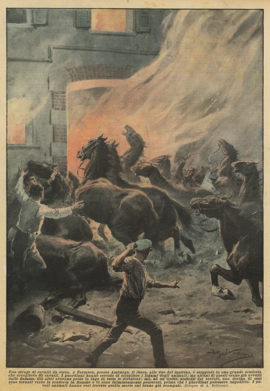 Masakra koni wyścigowych autorstwa Achille Beltrame