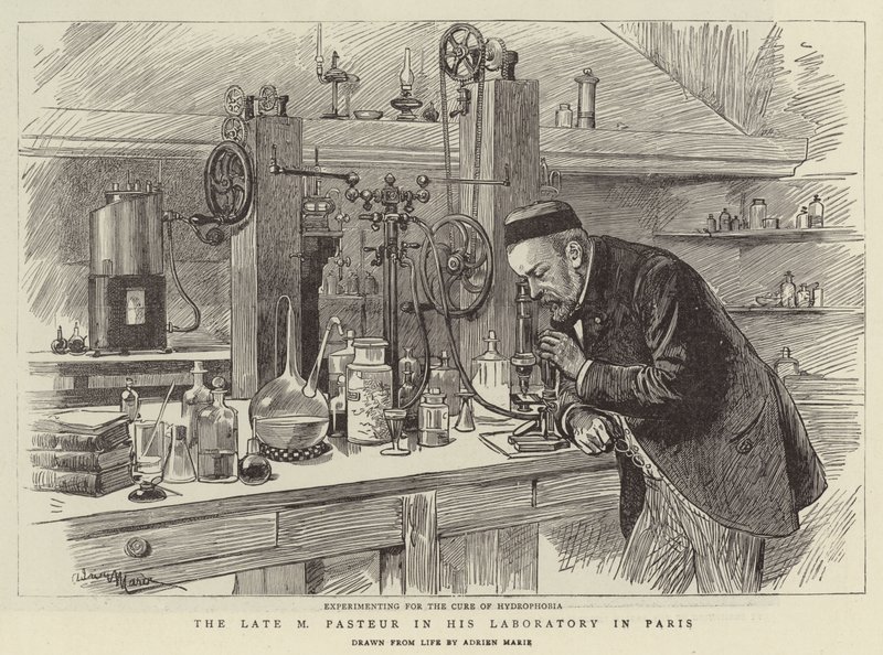 Późny M Pasteur w swoim laboratorium w Paryżu autorstwa Adrien Emmanuel Marie
