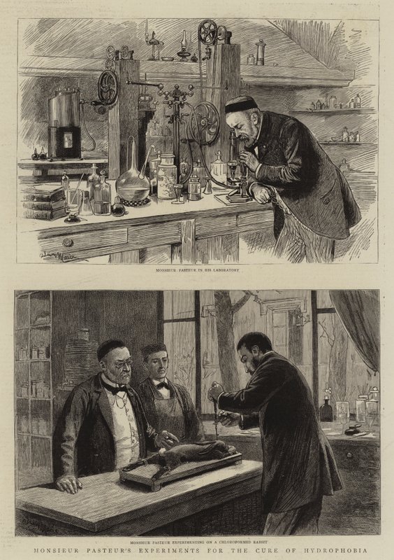 Eksperymenty Monsieur Pasteura w leczeniu hydrofobii autorstwa Adrien Emmanuel Marie