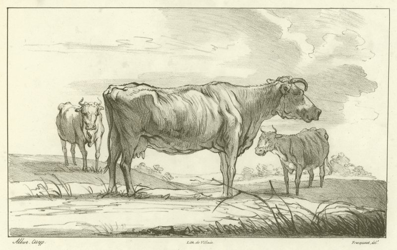 Trzy krowy autorstwa Aelbert Cuyp