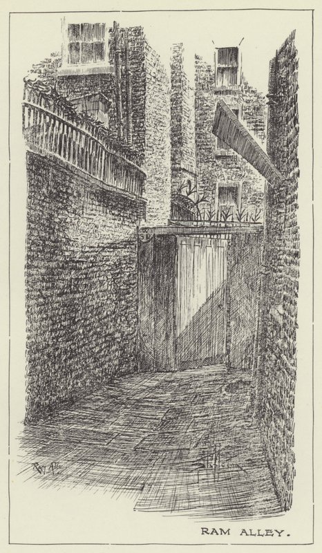 Aleja barana autorstwa Alan Stapleton