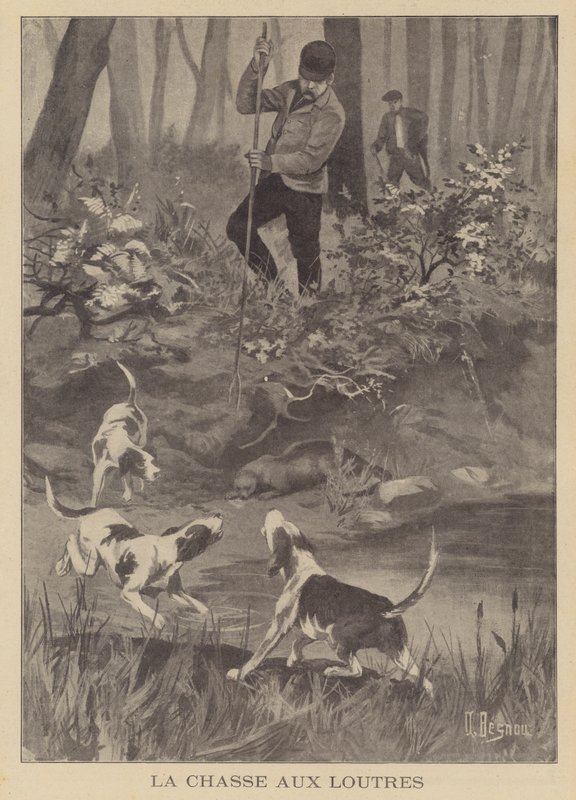 Polowanie na wydry autorstwa Albert Besnou