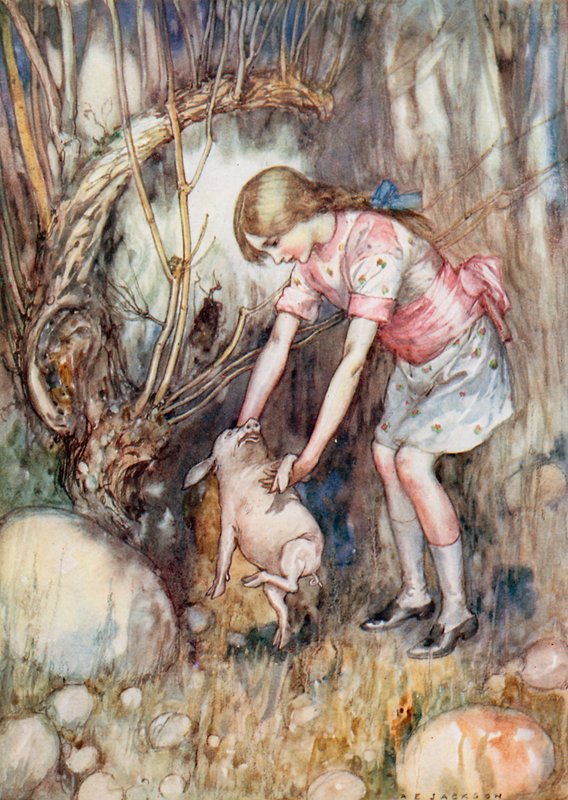 Ilustracja do Alicji w Krainie Czarów (litografia kolorowa) autorstwa Albert Edward Jackson