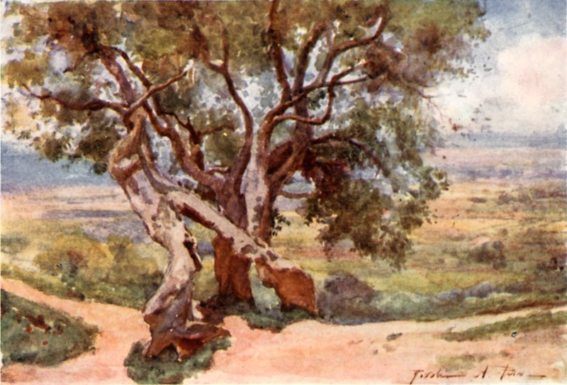 Campagna Romana, z Tivoli autorstwa Alberto Pisa