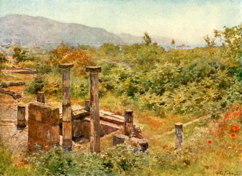 Widok z Pompejów autorstwa Alberto Pisa