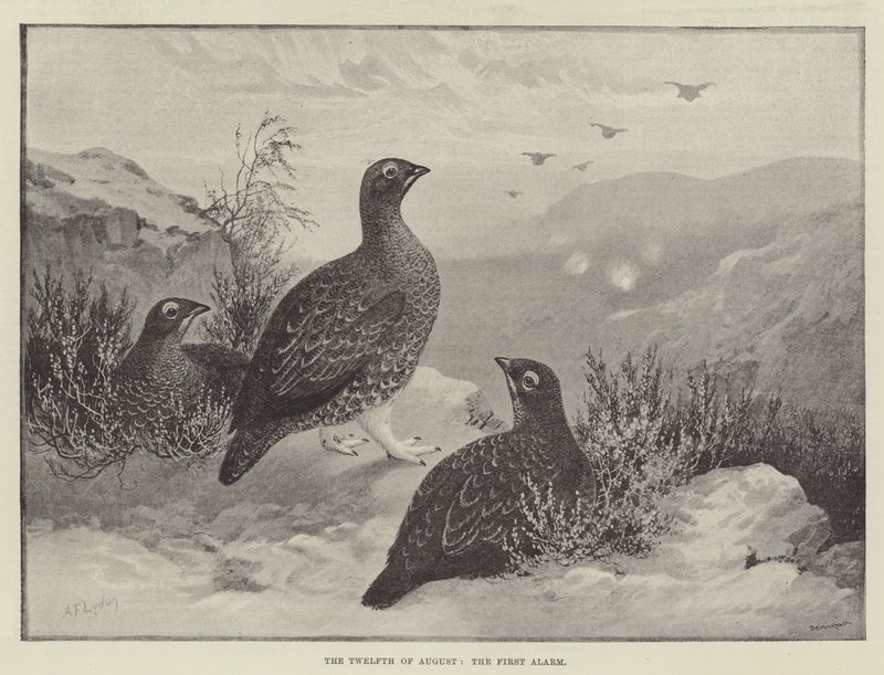 Dwunasty sierpnia, pierwszy alarm autorstwa Alexander Francis Lydon