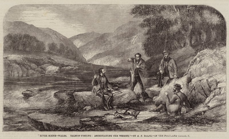 Scena na rzece, Walia, połów łososia, ustalanie wagi autorstwa Alexander Rolfe