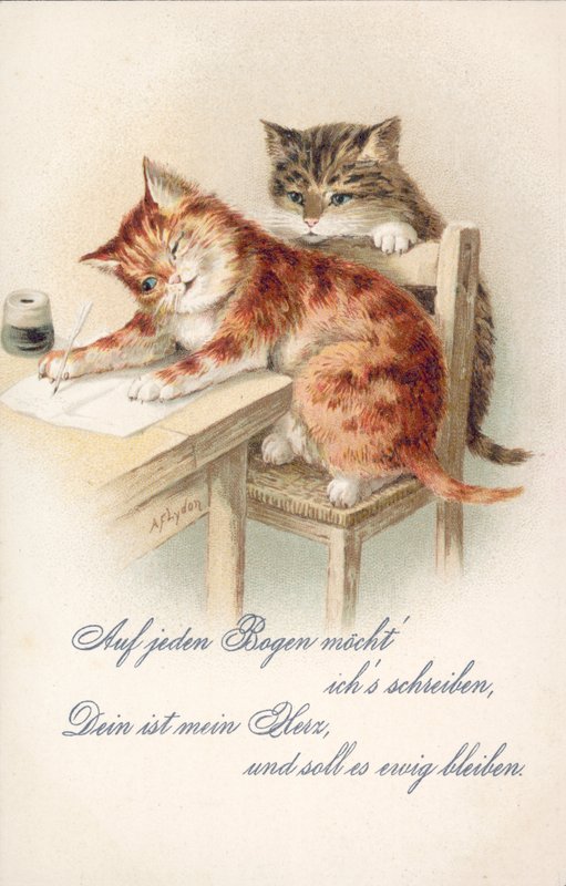 Humorystyczna pocztówka z kotem (kolorowa litografia) autorstwa Alexander Francis (after) Lydon