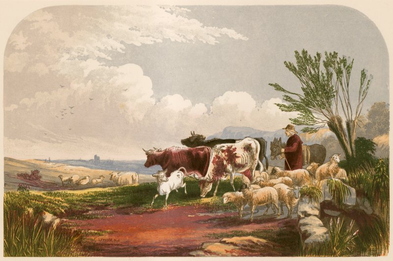 Ilustracja do Opuszczonej wioski złotnika autorstwa Alexander Francis Lydon