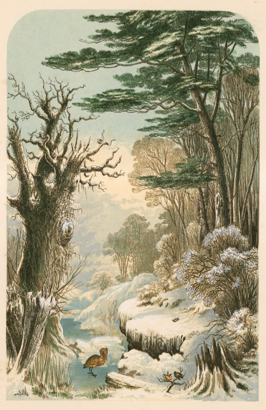 Ilustracja do lasu Longfellow w zimie autorstwa Alexander Francis Lydon
