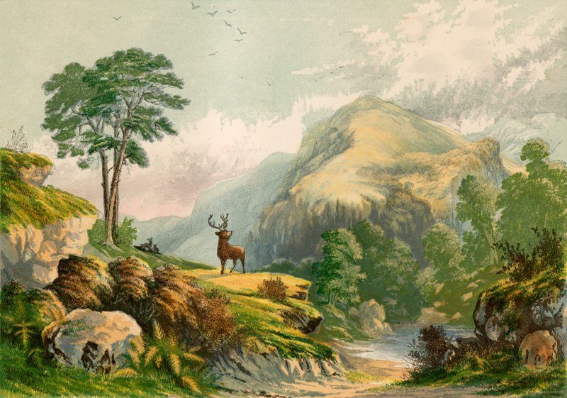 Ilustracja do przemówienia Wilsona do dzikiego jelenia autorstwa Alexander Francis Lydon