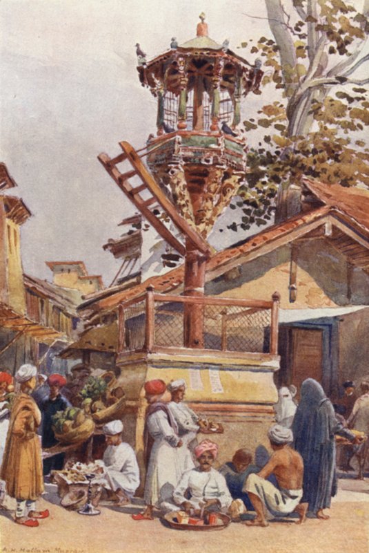 Żerowisko dla ptaków, Ahmedabad autorstwa Alexander Henry Hallam Murray