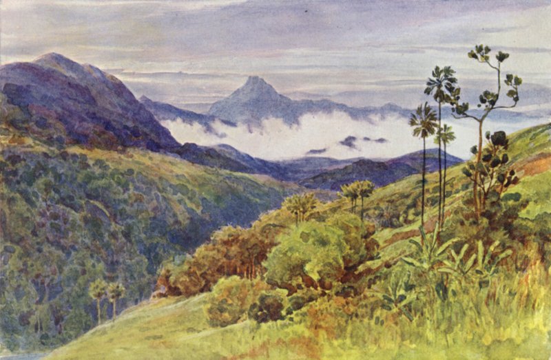 Poranne mgły w dolinie Mahaweli Ganga (kolor lito) autorstwa Alexander Henry Hallam Murray