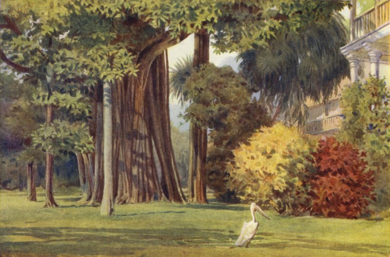 Dom Królowych, Kolombo autorstwa Alexander Henry Hallam Murray