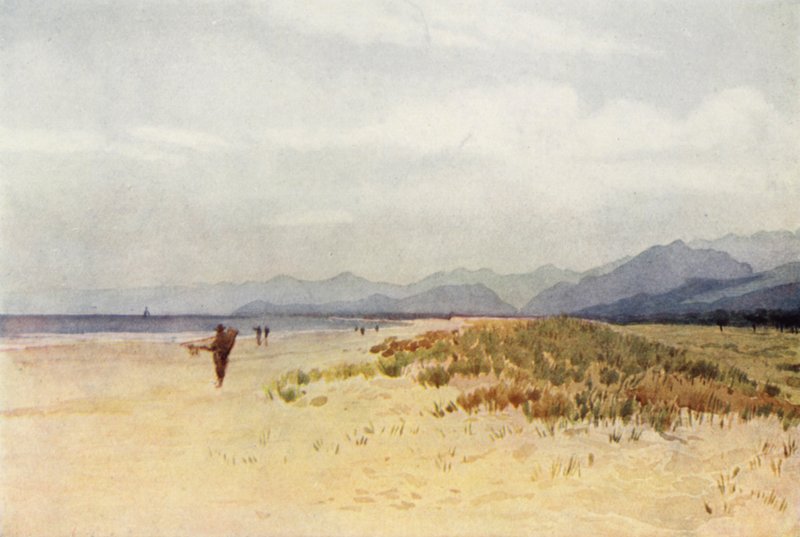 Wybrzeże Morza na północ od Viareggio (kolor lito) autorstwa Alexander Henry Hallam Murray