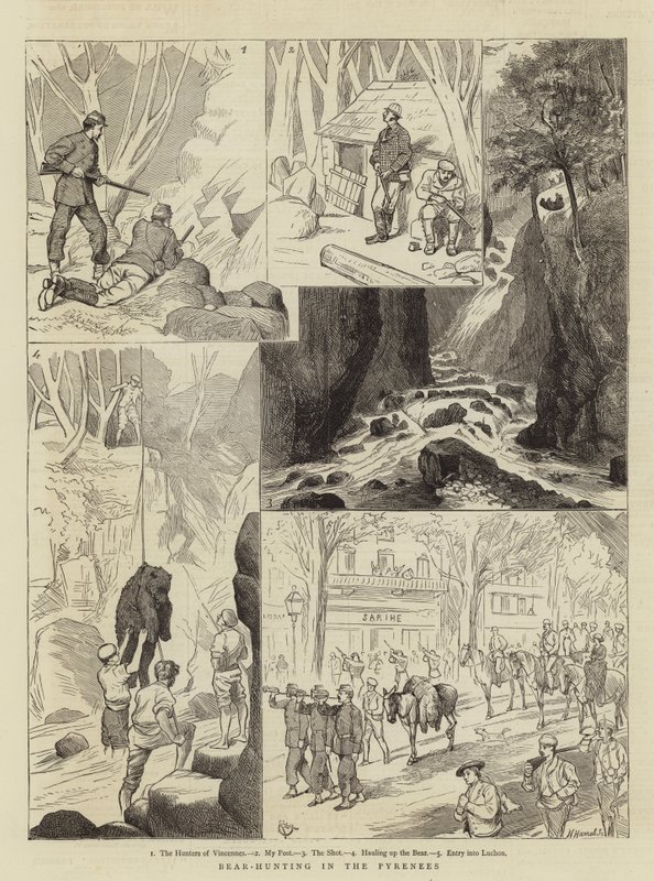Polowanie na niedźwiedzie w Pirenejach autorstwa Alfred Chantrey Corbould