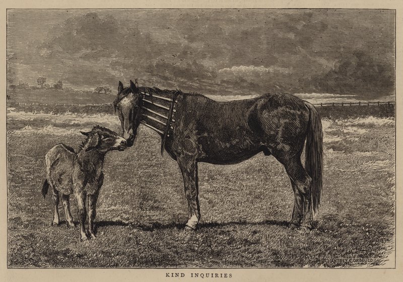 Uprzejme pytania autorstwa Alfred Chantrey Corbould