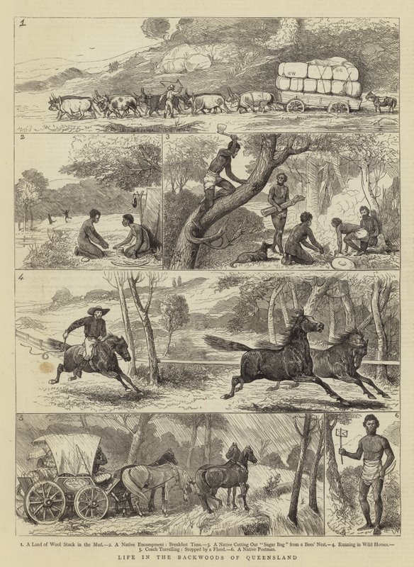 Życie na ostępach Queensland autorstwa Alfred Chantrey Corbould