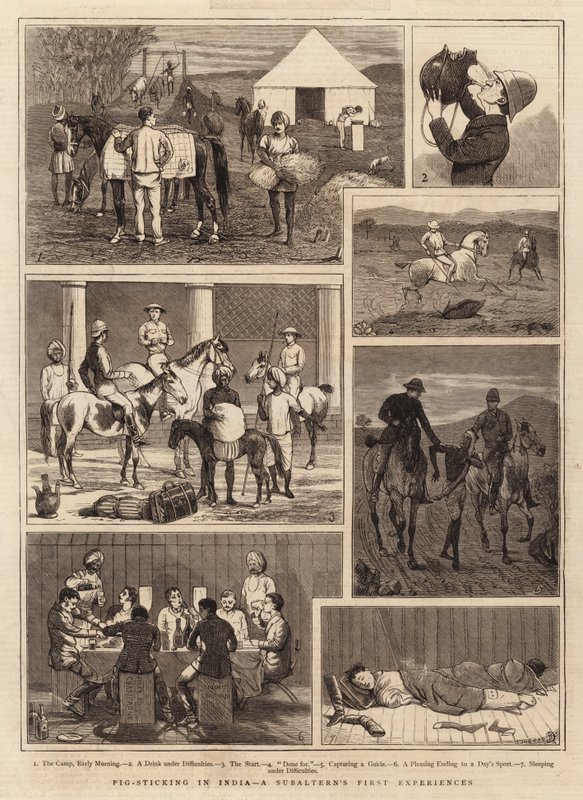 Trzymanie świń w Indiach, pierwsze doświadczenia Subalterna autorstwa Alfred Chantrey Corbould