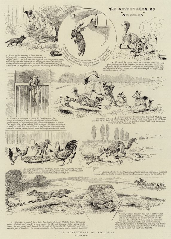 Przygody Mikołaja autorstwa Alfred Chantrey Corbould
